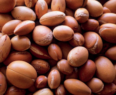 ARGAN OIL